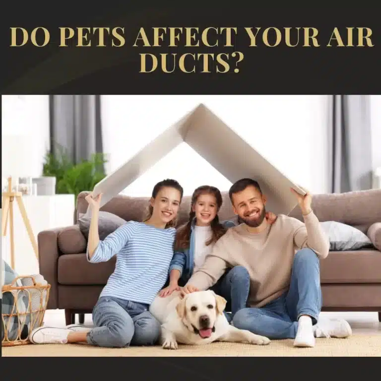 Do Pets Increase the Need for Air Duct Cleaning